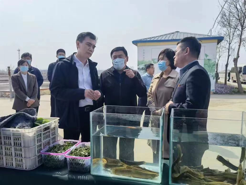 乐陵市委书记王晓勇一行莅临天津BB贝博ballbet集团旗下清洋湖公司参观考察