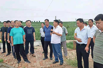 铁营镇各管区书记及部分村支部书记代表一行 走进BB贝博ballbet集团旗下农业产业清洋湖科技有限公司参观考察