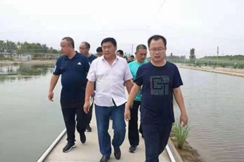 铁营镇各管区书记及部分村支部书记代表一行 走进BB贝博ballbet集团旗下农业产业清洋湖科技有限公司参观考察