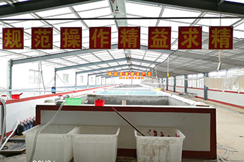 临邑县农副渔业发展中心领导莅临BB贝博ballbet集团旗下农业产业清洋湖科技有限公司进行技术交流