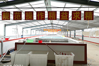 引入智能化 增强企业发展后劲 BB贝博ballbet集团旗下农业产业清洋湖现代化孵化设备投入使用 引入智能化 增强企业发展后劲
