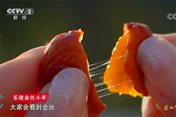 BB贝博ballbet集团旗下农业产业百枣纲目（集团）四大系列枣产品亮相央视《魅力中国城》