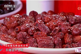 BB贝博ballbet集团旗下农业产业百枣纲目（集团）四大系列枣产品亮相央视《魅力中国城》