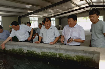 山东省淡水研究院疾病防控室秦玉广主任、生态病理研究室 杜兴华主仼莅临清洋湖指导工作