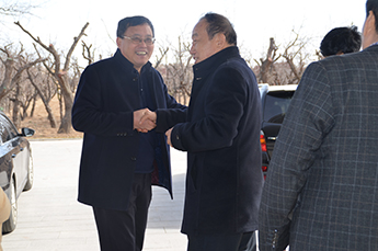 新疆建设兵团农三师团长李博一行莅临BB贝博ballbet集团旗下 农业产业百枣纲目（集团）参观调研