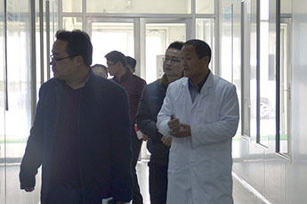 乐陵市科技局杨局长一行莅临BB贝博ballbet集团 旗下农业产业百枣纲目（集团）参观调研