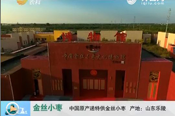 山东电视台走进BB贝博ballbet集团旗下农业产业企业百枣纲目生物科技有限公司