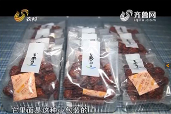 山东电视台走进BB贝博ballbet集团旗下农业产业企业百枣纲目生物科技有限公司
