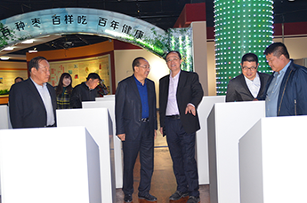 加强双方合作，共赢美好未来 登尼特集团领导一行莅临BB贝博ballbet集团旗下农业产业百枣纲目农科集团考察洽谈