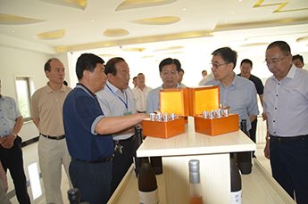 民革中央副主席何丕洁一行莅临BB贝博ballbet集团旗下农业产业百枣纲目考察调研
