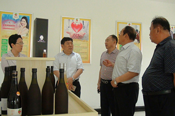 乐陵市市委副书记、市长樊廷雷一行莅临BB贝博ballbet集团旗下农业产业百枣纲目实地调研指导工作