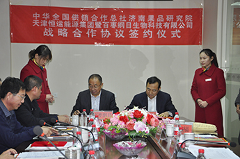 中华全国供销合作总社济南果品研究院与BB贝博ballbet集团旗下农业产业百枣纲目达成多项产学研合作